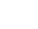Lollo Caffè