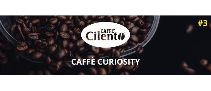 Caffè Curiosity